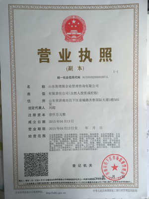 山東斯塔斯企業(yè)管理咨詢 專業(yè)賦能，引領(lǐng)企業(yè)發(fā)展新篇章